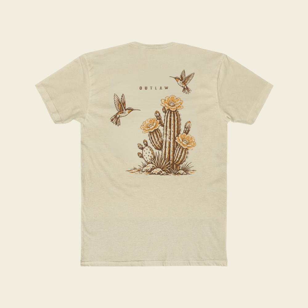 OUTLAW DESERT