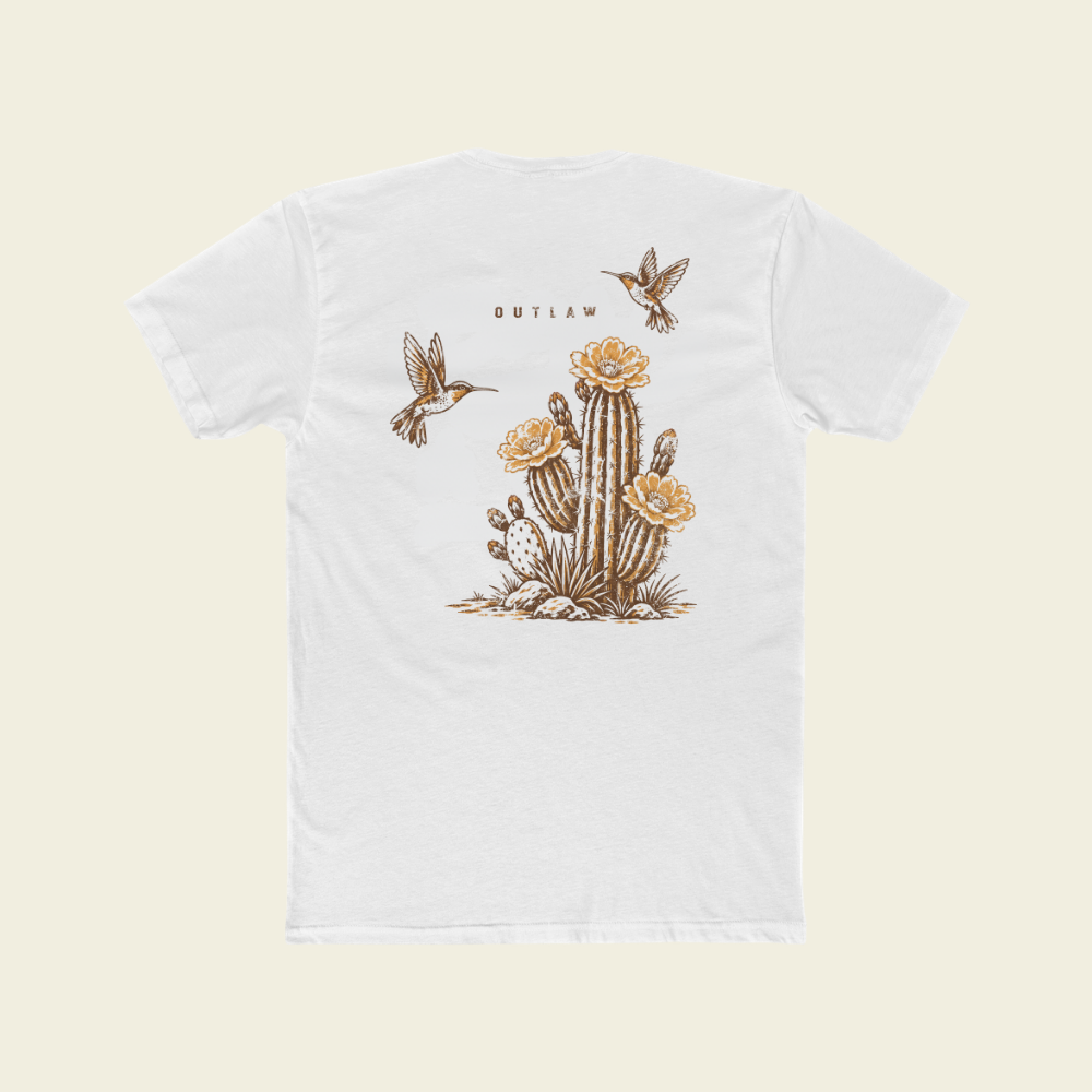 OUTLAW DESERT