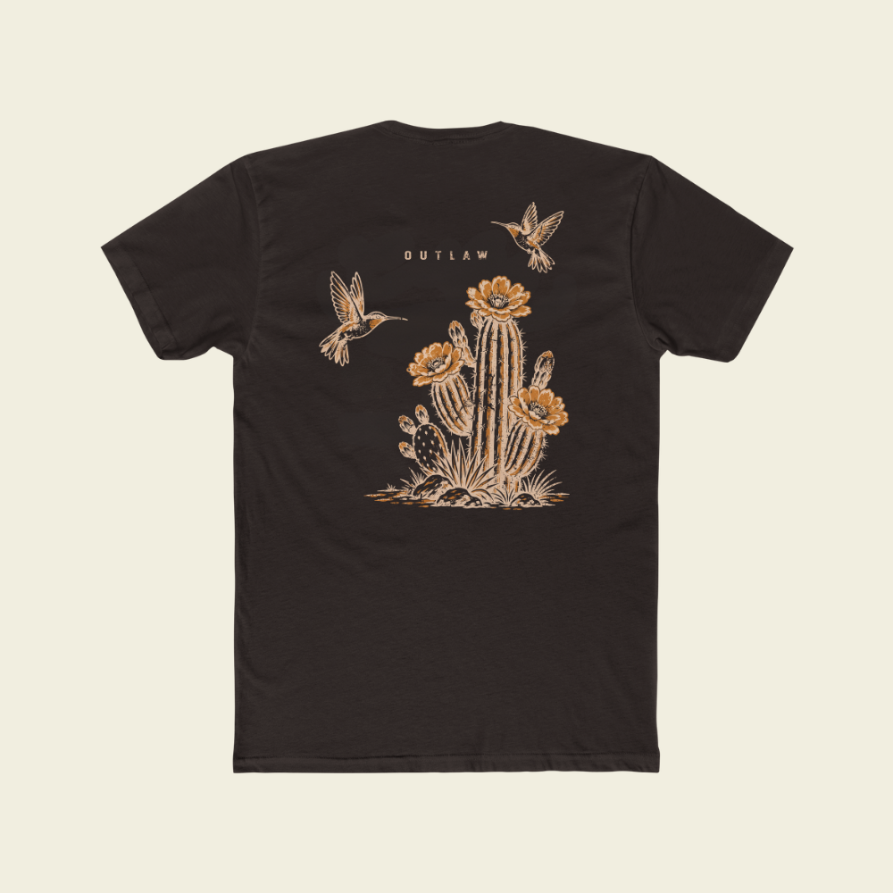 OUTLAW DESERT